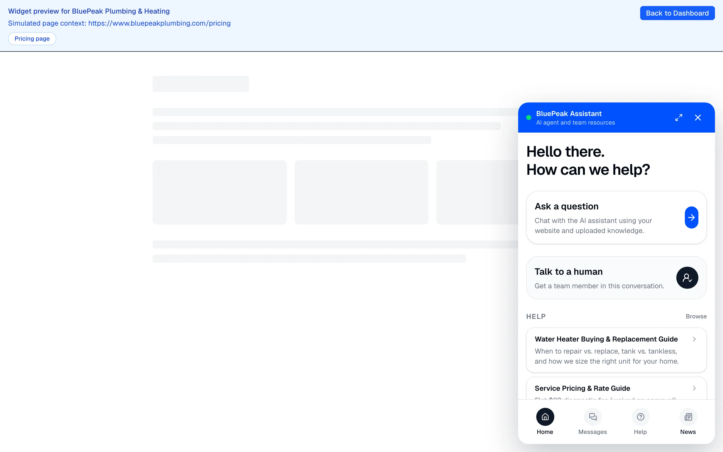 The widget preview page showing a simulated site with the open chat widget.